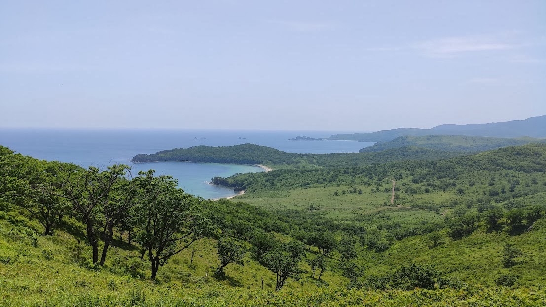 Group cover image