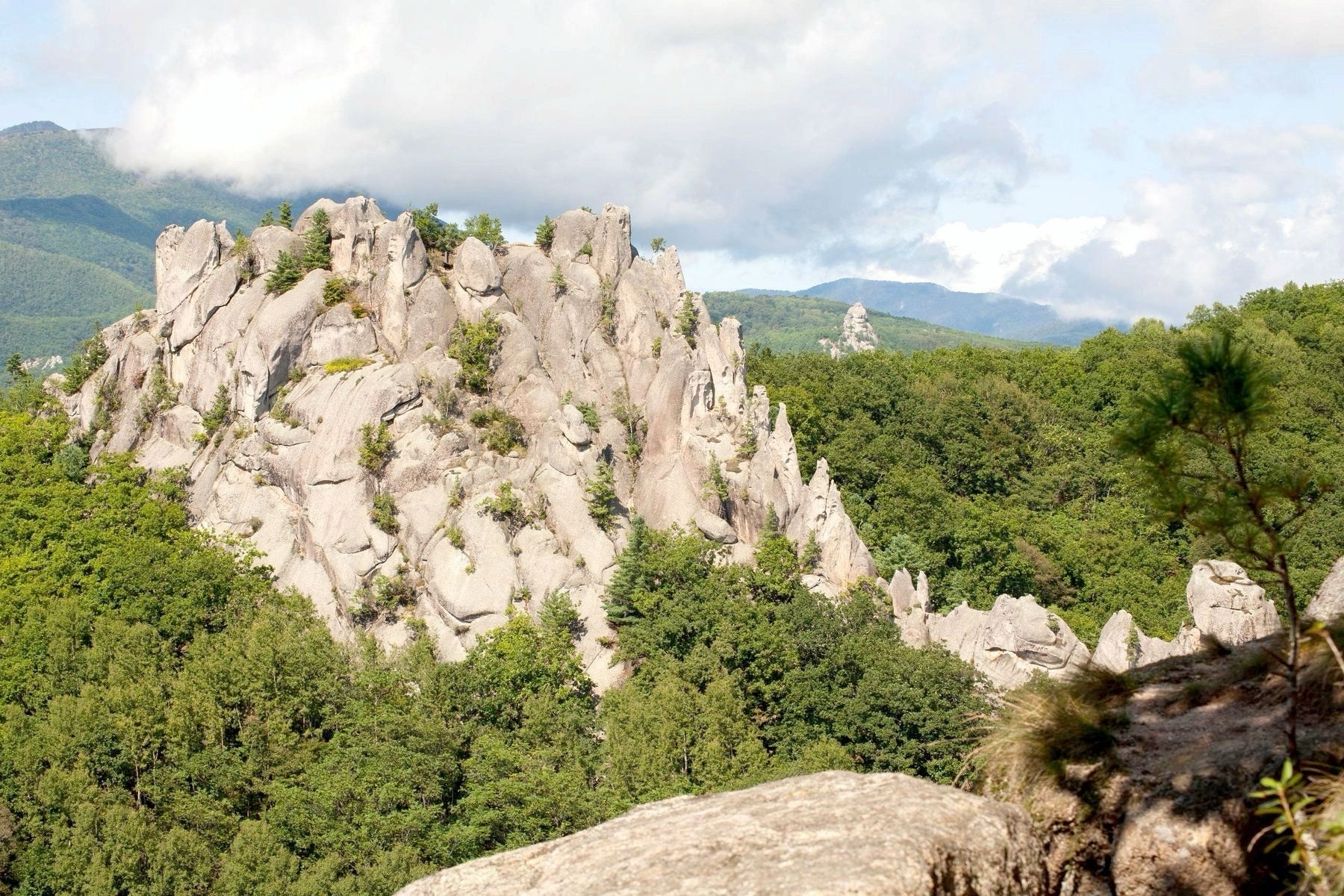 Group cover image
