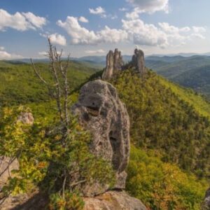 Логотип группы Чистоводное